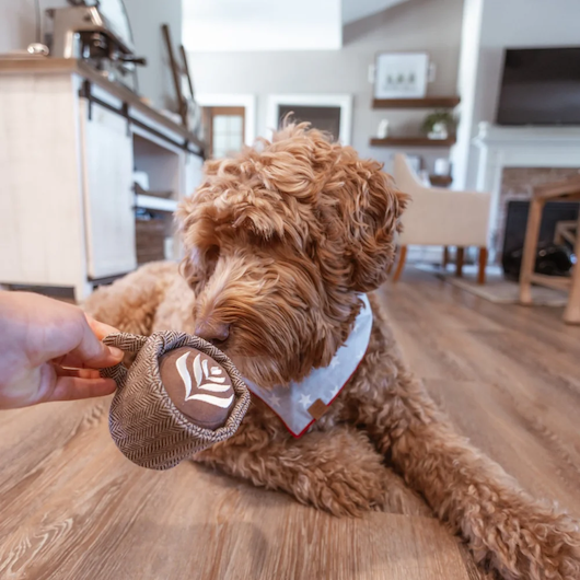 Lambwolf Collective - Latte Pop Dog Toy