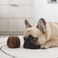 Lambwolf Collective - Canele Dog Toy