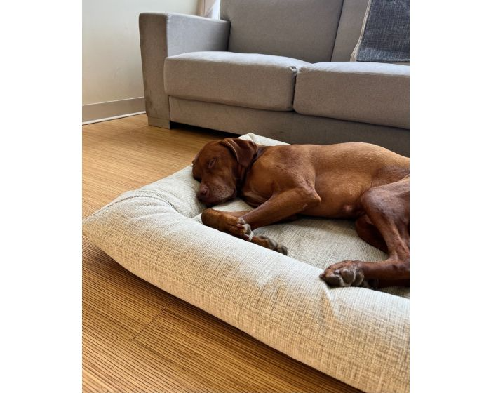 Bowsers - Hugo Futon