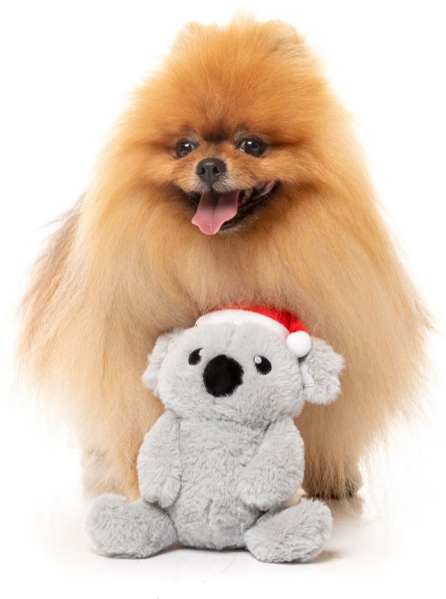 Fuzzyard - Coco Koala Dog Toy