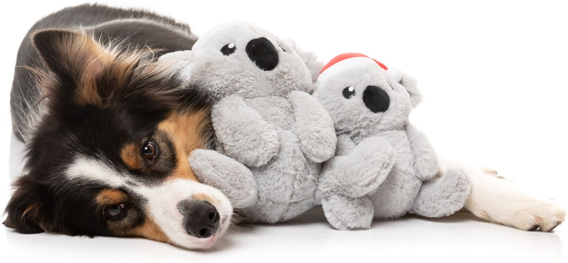 Fuzzyard - Coco Koala Dog Toy