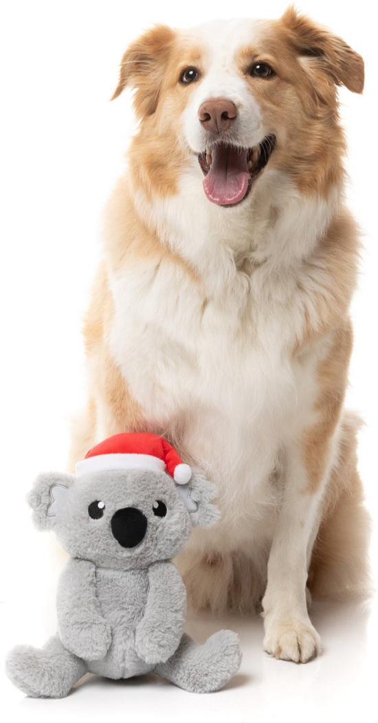 Fuzzyard - Coco Koala Dog Toy