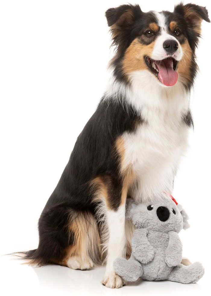 Fuzzyard - Coco Koala Dog Toy