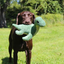 Tall Tails - Nessie Dog Toy