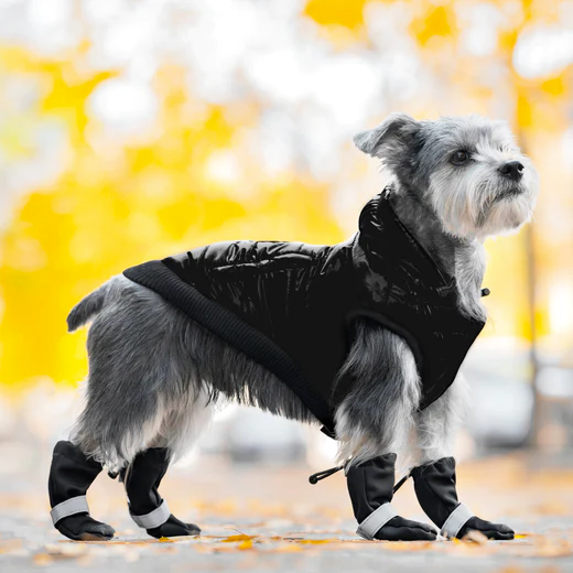 Dog pants with boots clearance