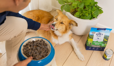 ZIWI Peak - Wet Dog Food