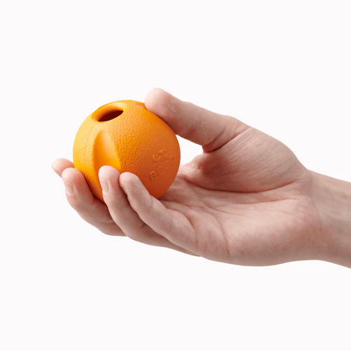 Beco - Fetch Ball