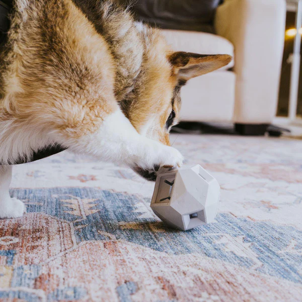 Up Dog - The Odin - Puzzle Toy