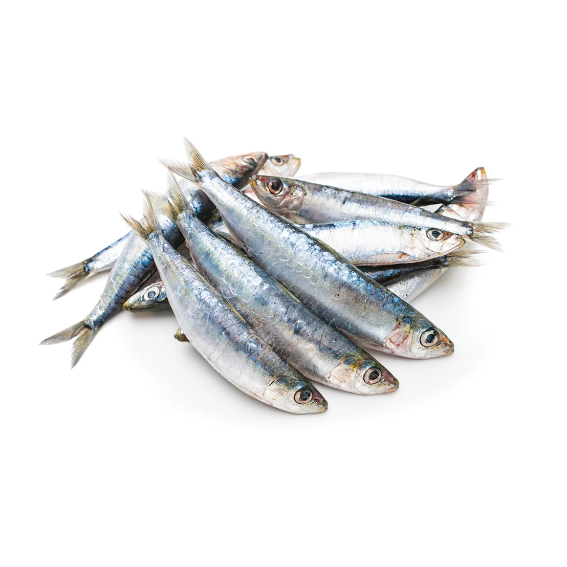 Iron Will Raw - Sardines 1 lb Bag