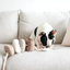 Lambwolf Collective - BLOCS Dog Toy