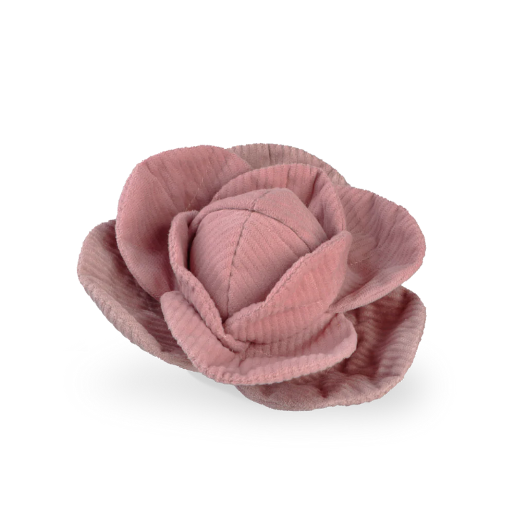 Lambwolf Collective - Cabbage POP Dog Toy