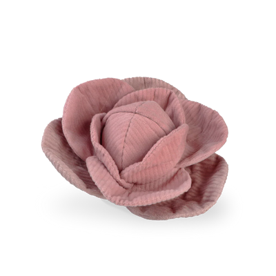 Lambwolf Collective - Cabbage POP Dog Toy