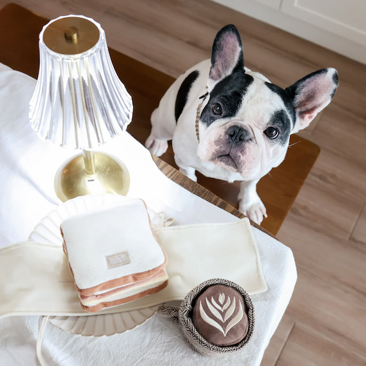 Lambwolf Collective - Latte Pop Dog Toy