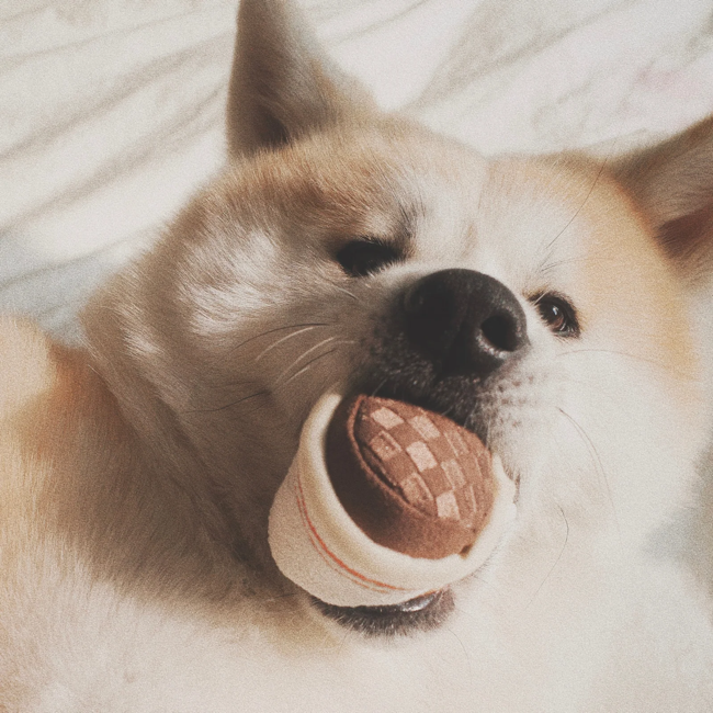 Lambwolf Collective - Expresso Pop Dog Toy