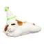 Multipet - Lamb Chop With Birthday Hat Dog Toy - New Style