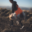 Non-stop Dogwear - Dog Rescue Sling