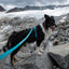 Non-stop Dogwear - Line Harness 5.0