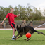 Jolly Pets - Soccer Ball