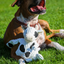 HuggleHounds - Dottie Cow Knottie Plush Dog Toy