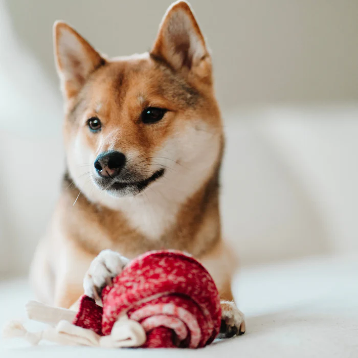Lambwolf Collective - Lollipop Dog Toy