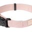 Fuzzyard Life - Dog Collar