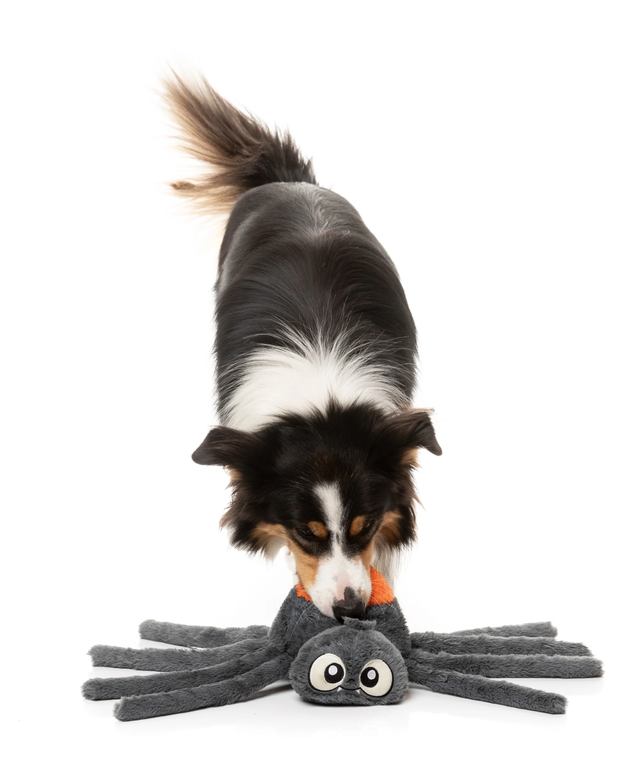 Fuzzyard - Arachnate the Spider Dog Toy
