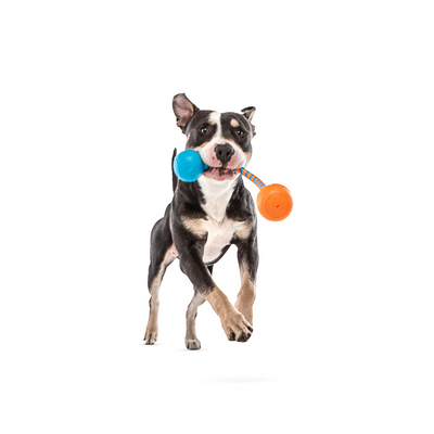 Guru - Squeaking Rope & Ball