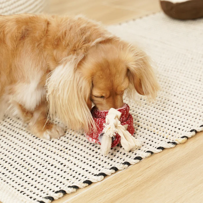 Lambwolf Collective - Lollipop Dog Toy
