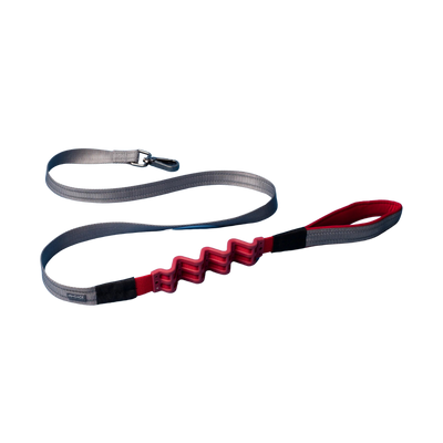 N-Gage - Stretch Leash