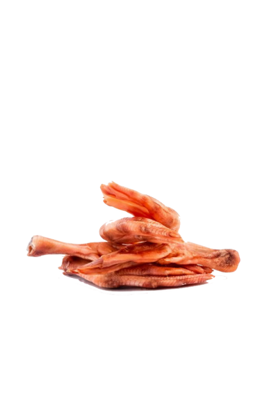 Evolution Raw - Free-Run Duck Feet - 5 lb
