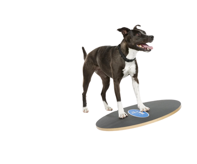 FitPAWS -  Wobble Board