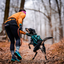 Non-stop Dogwear - CaniX Belt 2.0