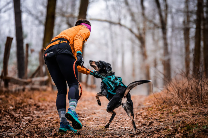Non-stop Dogwear - CaniX Belt 2.0