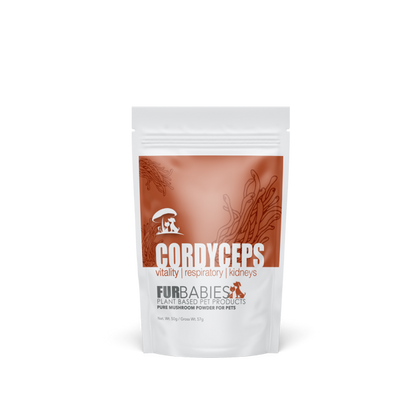 Furbabies - Cordyceps Mushroom Powder