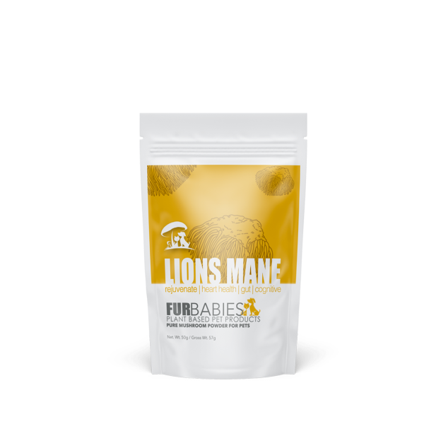 Furbabies - Lions Mane Mushroom Powder