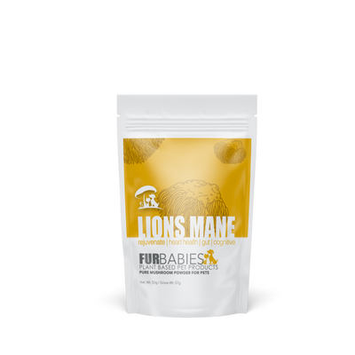 Furbabies - Lions Mane Mushroom Powder