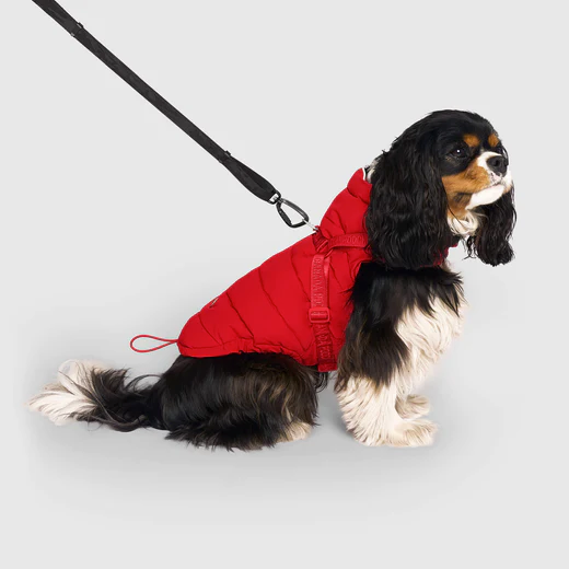 Canada Pooch - The Harness Puffer