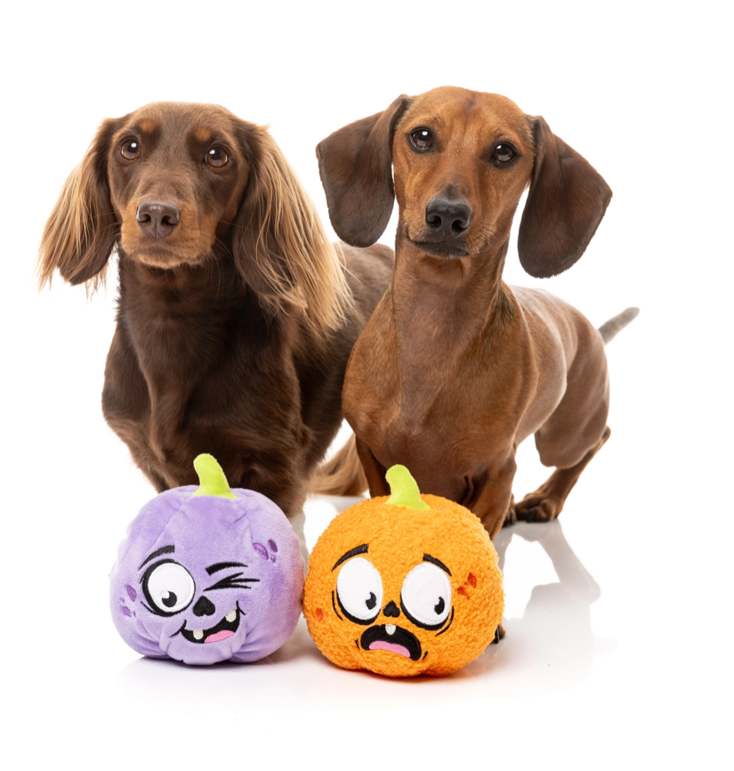 Fuzzyard - Trick or Treat Duo 2 Pack Dog Toy