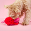 The Furryfolks - Love Locked Nosework Toy