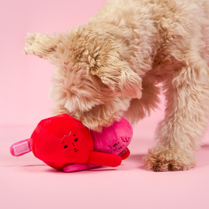 The Furryfolks - Love Locked Nosework Toy