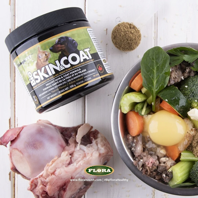 BiologicVET - Bio SKIN & COAT - Dog / Cat Supplement