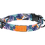 RC Pets - Eco Clip Collar