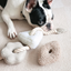Lambwolf Collective - BLOCS Dog Toy