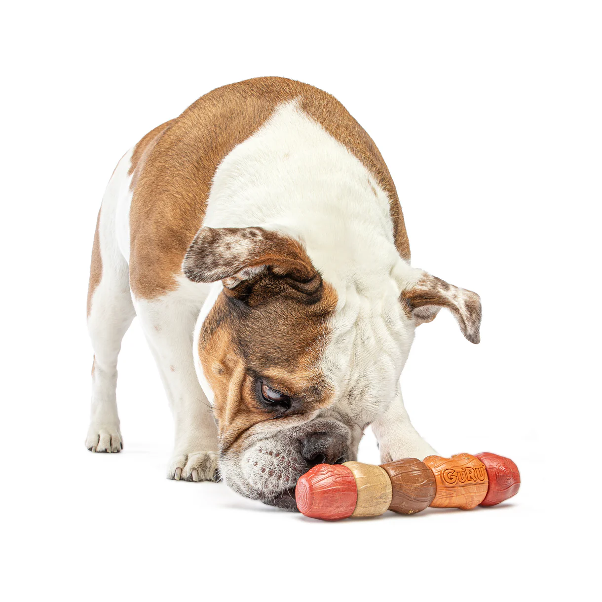 Guru - Multi-Flavour Stick