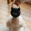 Lambwolf Collective - Kettlebell Dog Toy