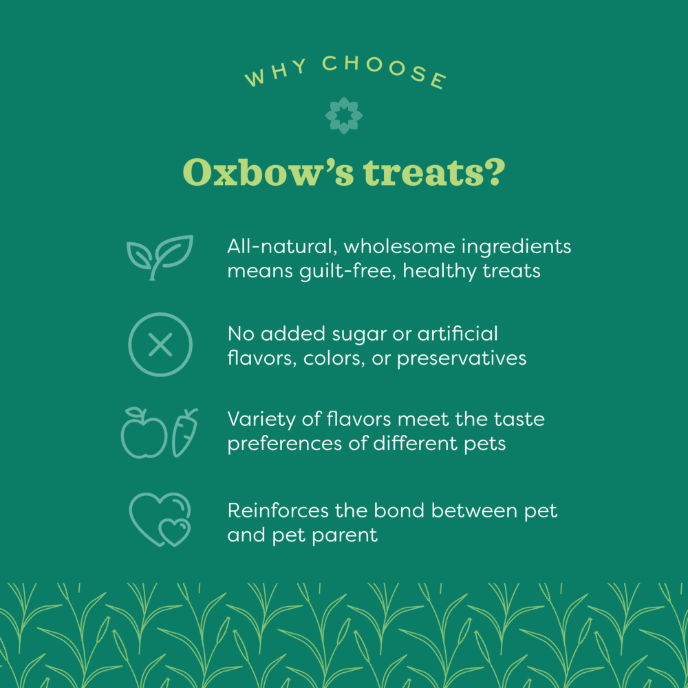 Oxbow - Simple Rewards - Veggie Treats
