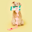 The Furryfolks - Doggo Cleaning Sheets Nosework Toy