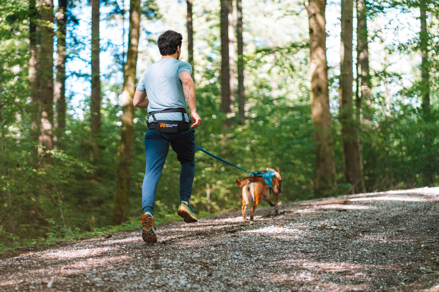 Non-stop Dogwear - CaniX Belt 2.0