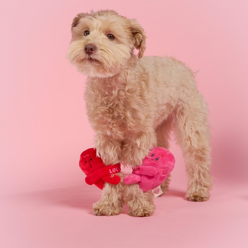 The Furryfolks - Love Locked Nosework Toy