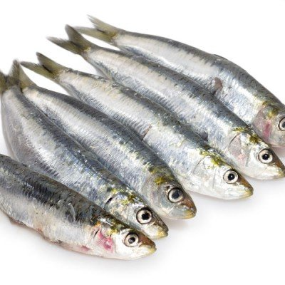 Evolution Raw - Whole Wild-Caught Sardines - 5 lb